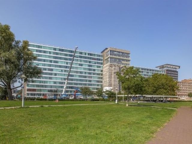 Bos en Lommerplantsoen ONG, Amsterdam