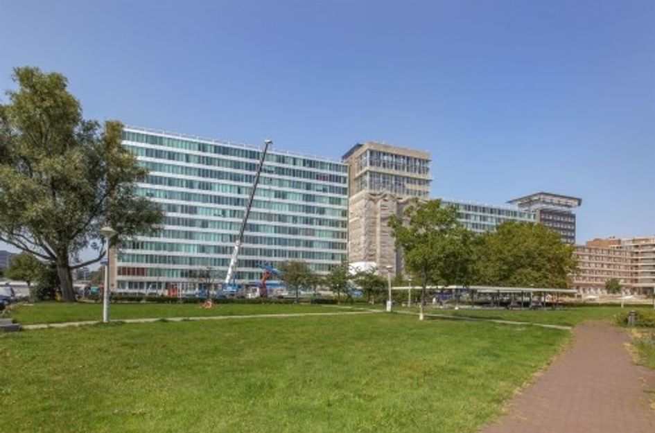 Bos en Lommerplantsoen ONG