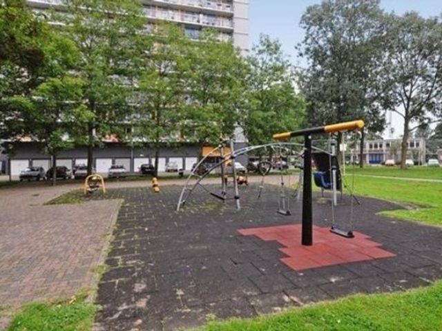 Elviraland ONG, 's-Gravenhage