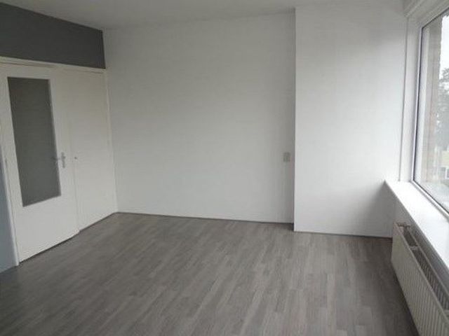 Van Banchemhof ONG, Leiden