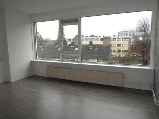 Van Banchemhof ONG, Leiden