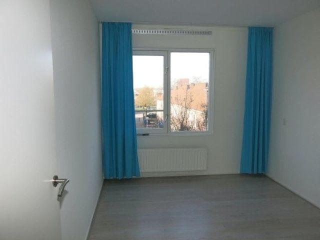 Schollevaartse Dreef ONG, Rotterdam