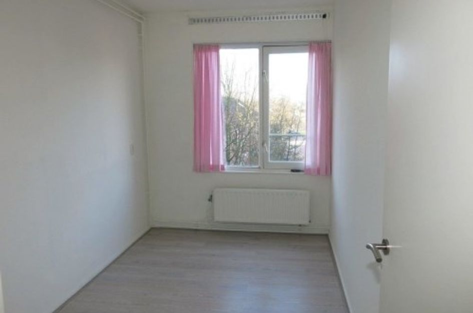 Schollevaartse Dreef ONG