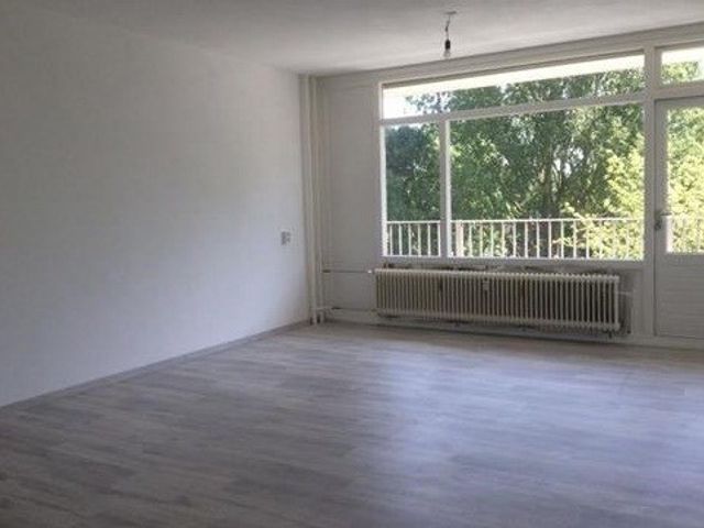 Spuikreek ONG, Rotterdam