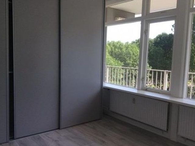 Spuikreek ONG, Rotterdam