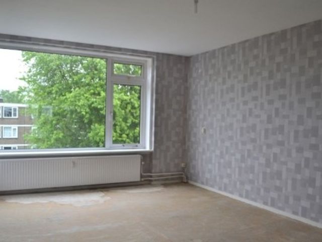 Philip Vingboonsstraat ONG, Rotterdam