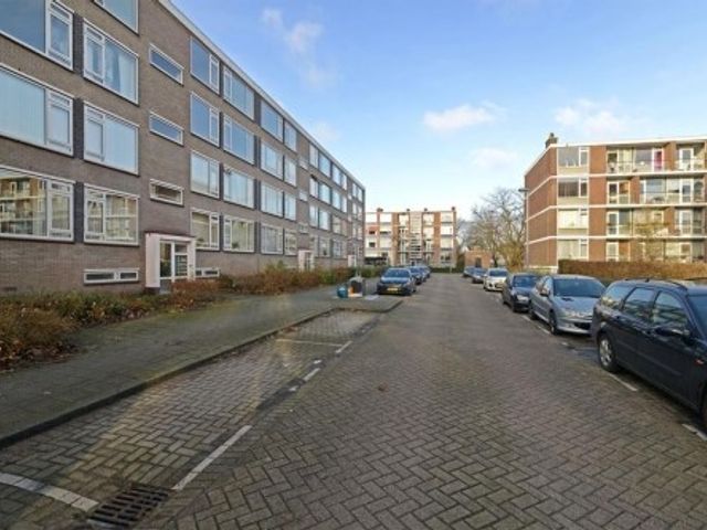 Quadenoord ONG, Rotterdam
