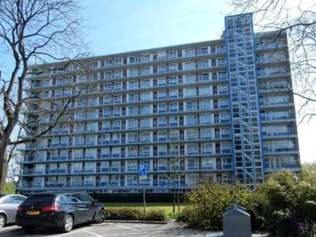 Burgemeester Hazenberglaan ONG, Rotterdam