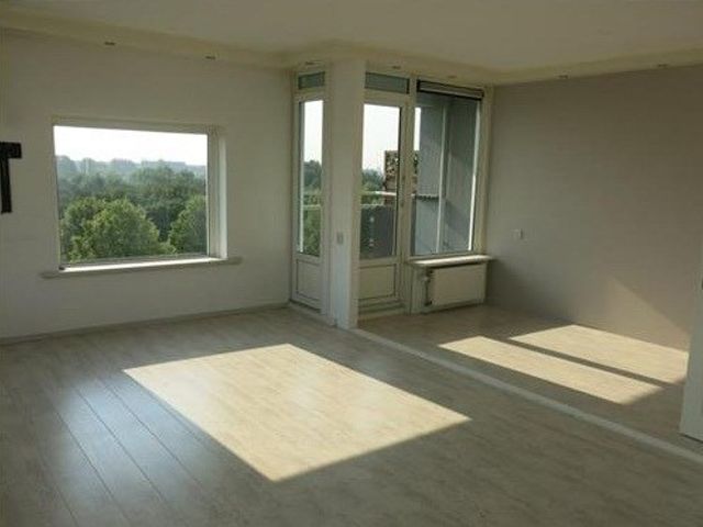 Burgemeester Hazenberglaan ONG, Rotterdam