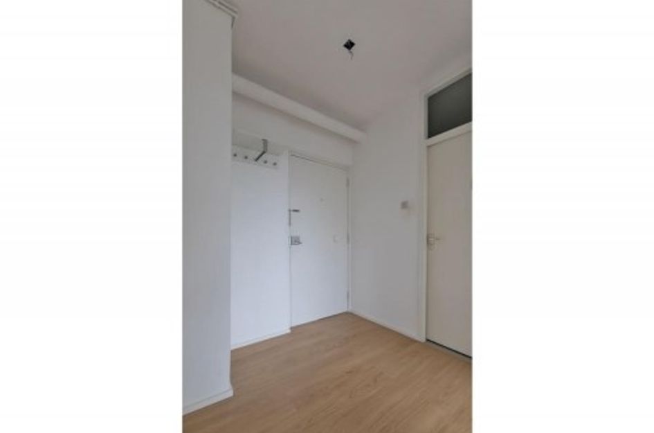 Hijmans van Den Berghlaan ONG