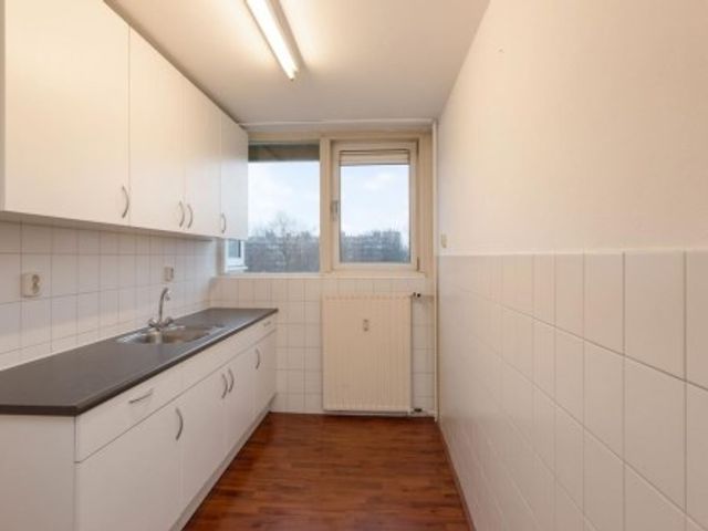 Androsdreef ONG, Utrecht