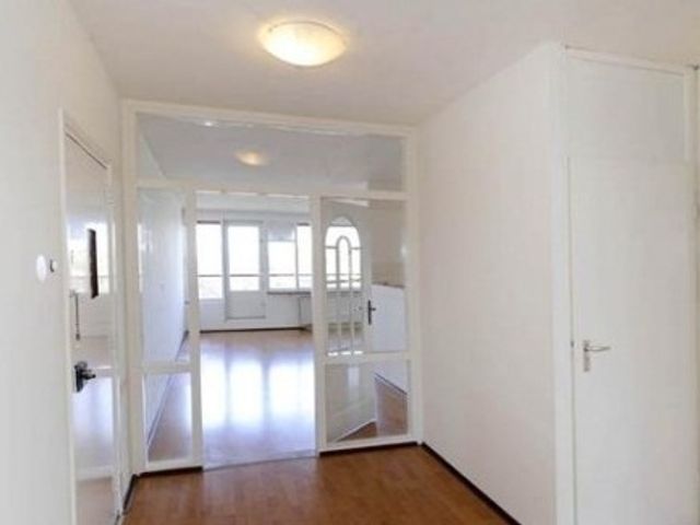 Looplantsoen ONG, Utrecht