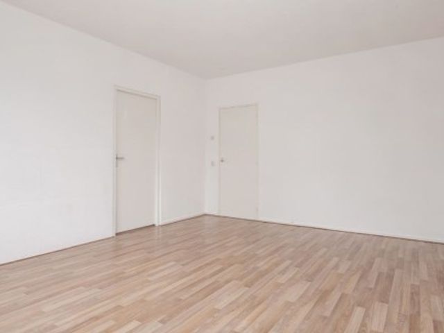 Fluitekruidweg ONG, Zaandam