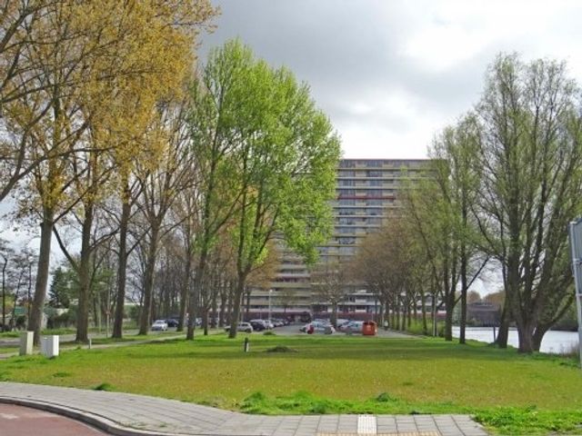 Oost Dorsch ONG, Zaandam