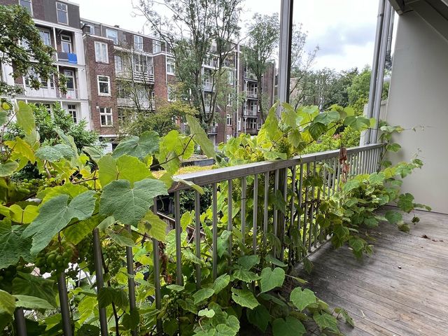 Eerste Helmersstraat 225 1, Amsterdam