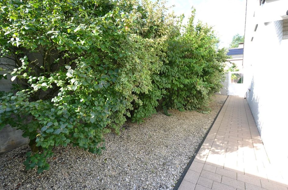 Dokter Limpensstraat 13