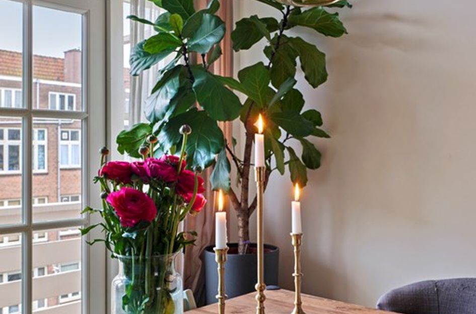 Biesboschstraat 63 3