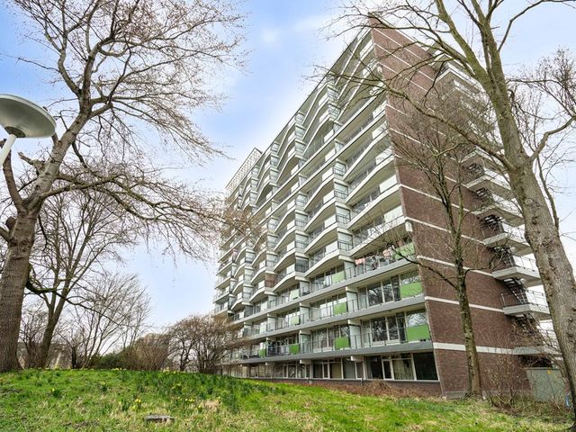 Zalkerbos 218, Zoetermeer