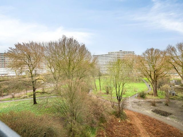 Zalkerbos 218, Zoetermeer