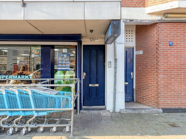 Putsebocht 125A01, Rotterdam