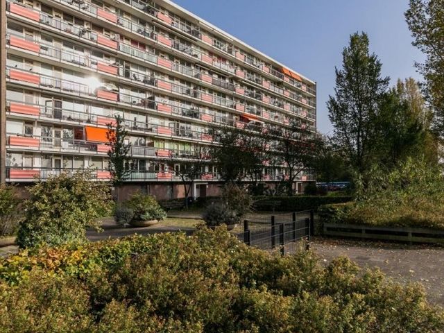 Trekvogelweg , Amersfoort