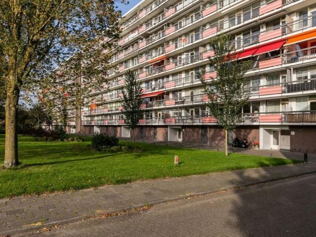 Trekvogelweg , Amersfoort