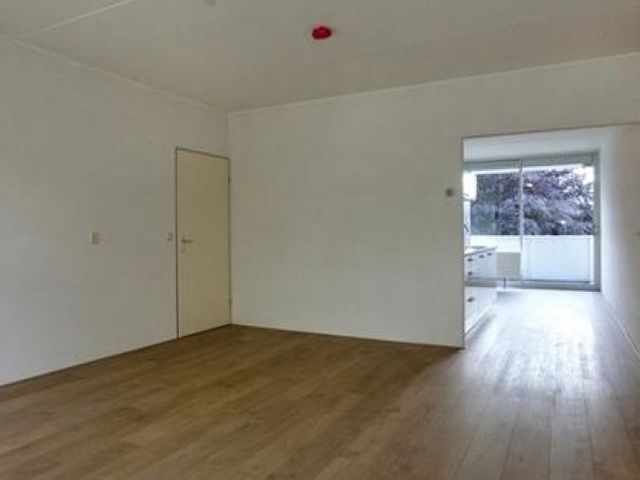 Renkumhof , Amsterdam