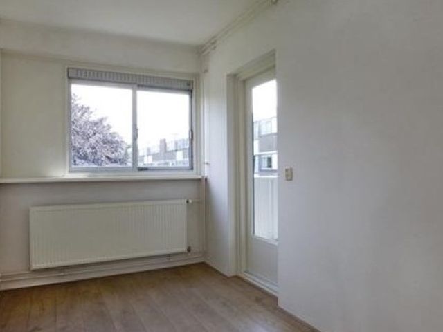 Renkumhof , Amsterdam