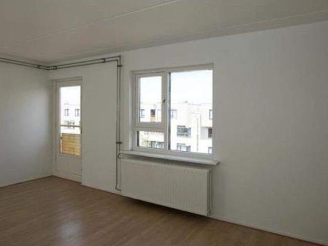 Boeninlaan , Amsterdam