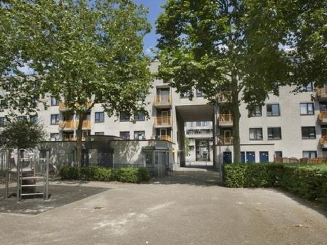 Boeninlaan , Amsterdam