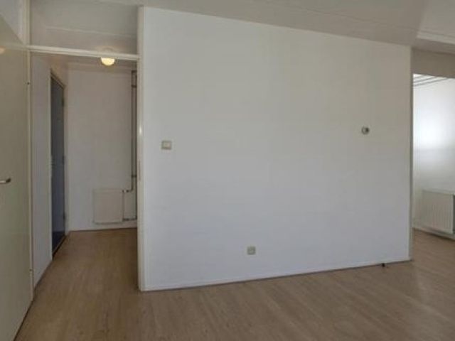 Boeninlaan , Amsterdam