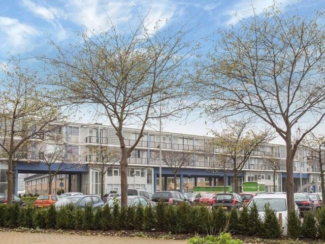 Buitenzagerij , Amsterdam