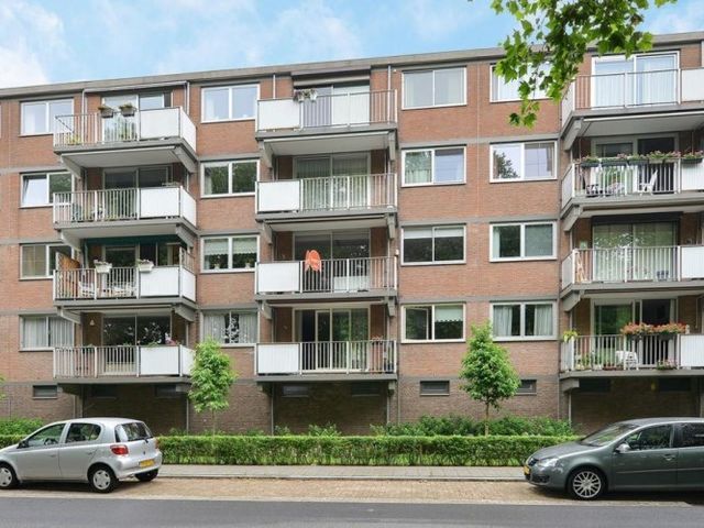 Rijnauwenstraat , Breda