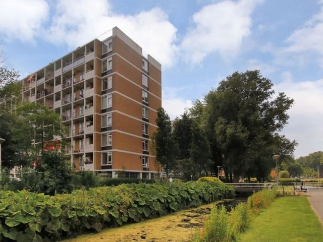 Louis Davidsstraat , 's-Gravenhage