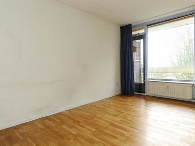 Isabellaland , Den Haag