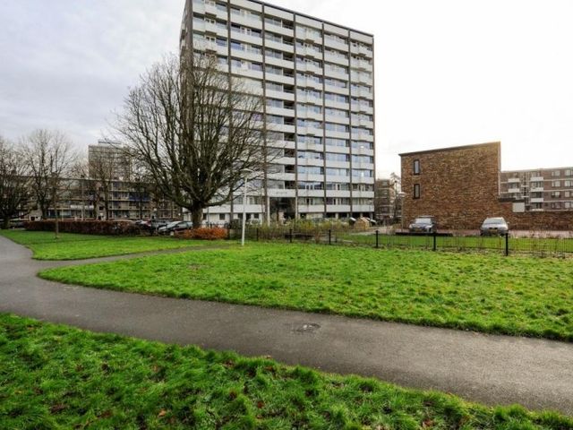 Roggekamp , Den Haag