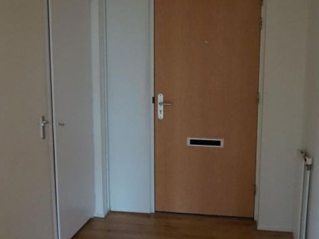 Roggekamp , Den Haag