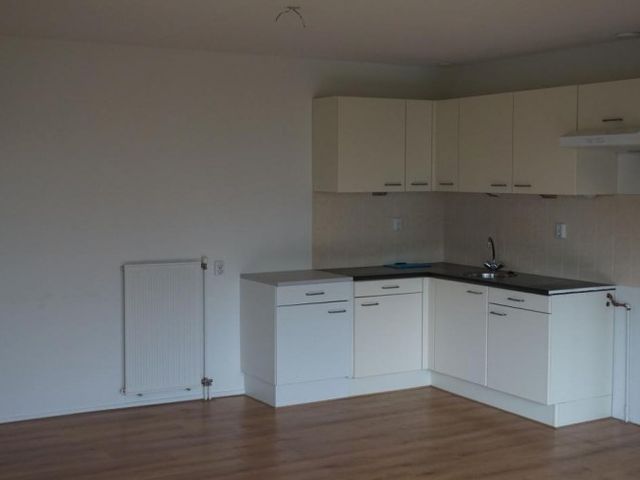 Roggekamp , Den Haag