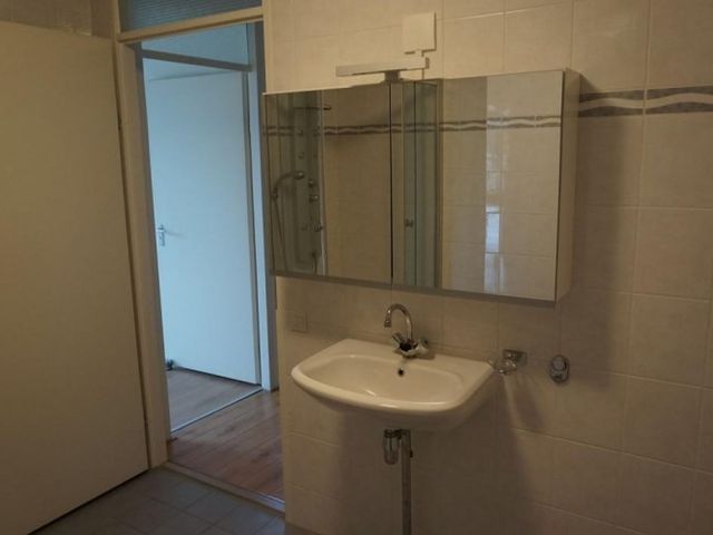 Roggekamp , Den Haag