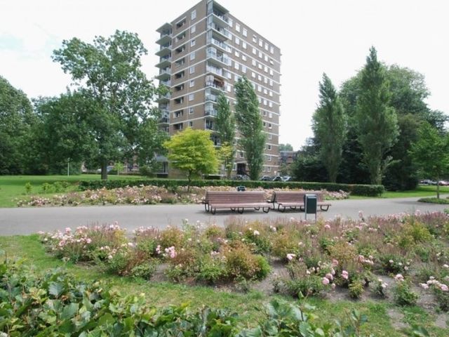 Hendrinaland , 's-Gravenhage