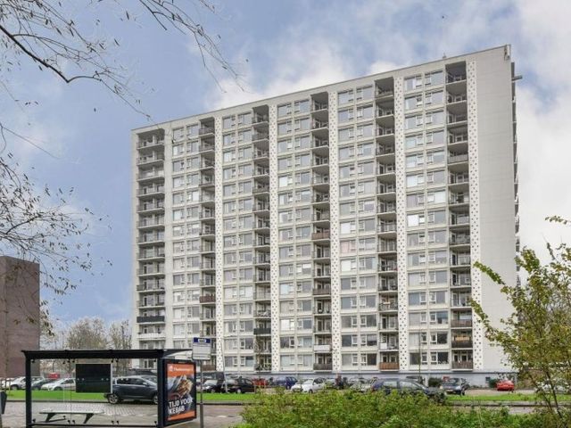 Van Leeuwenhoekstraat , Haarlem