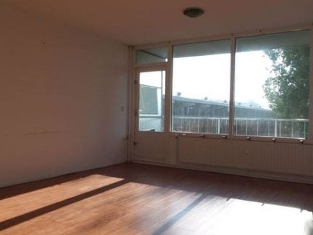 Milanenhorst , Leiden