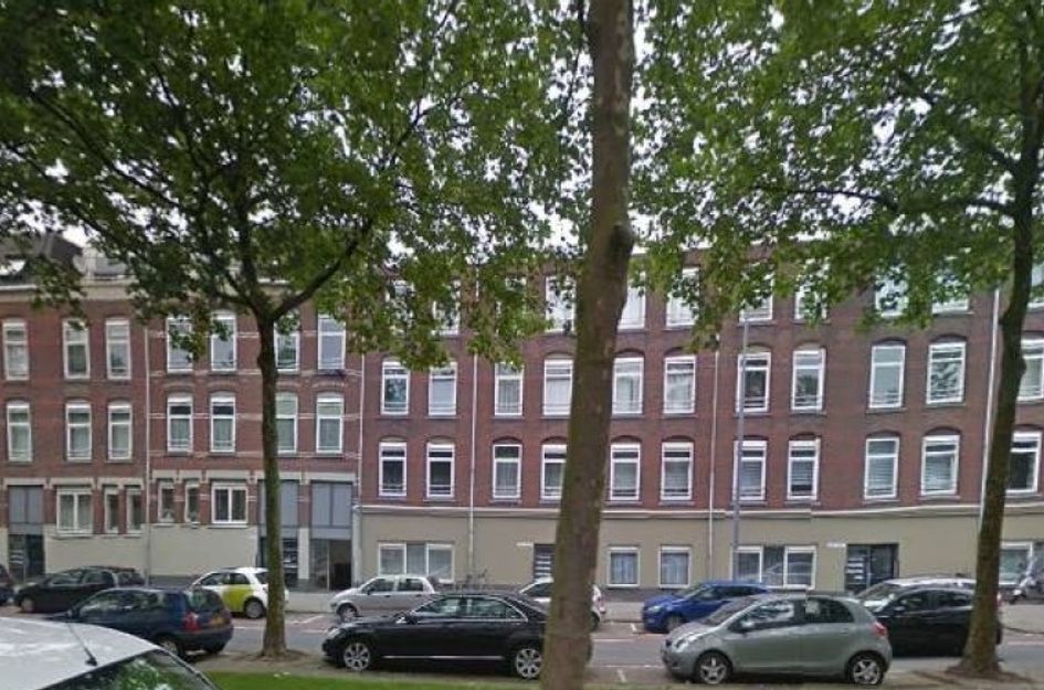 Oranjeboomstraat 