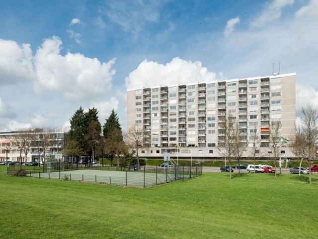 Buizenwerf , Rotterdam