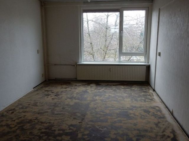 Zocherstraat , Rotterdam