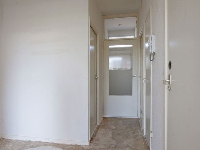 Plein 1953 , Rotterdam