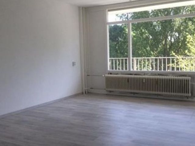 Spuikreek , Rotterdam