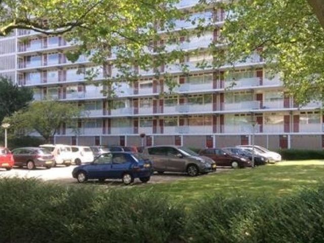 Spuikreek , Rotterdam