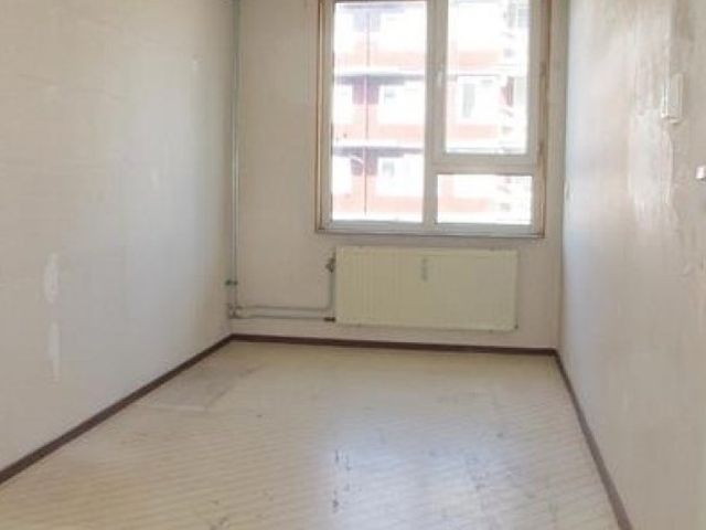 Baloeranstraat , Rotterdam