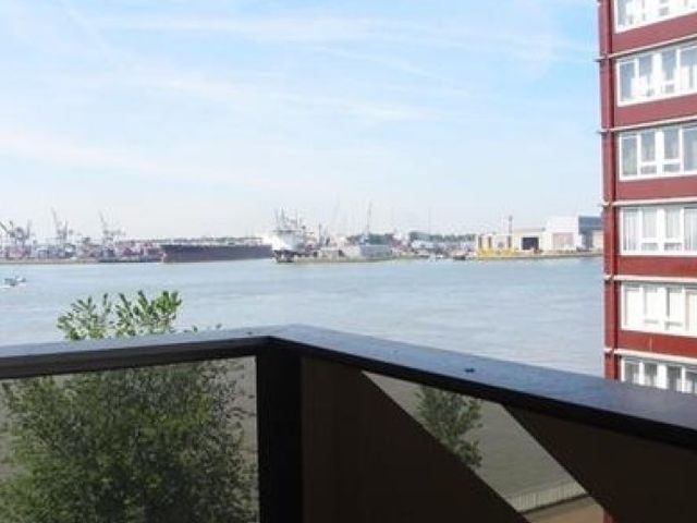 Baloeranstraat , Rotterdam